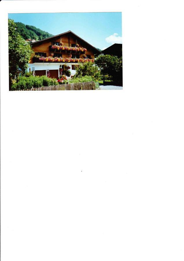Apartment Am Bach Mellau Buitenkant foto